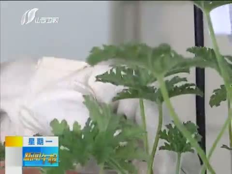 新闻午报-山西 《新闻午报-山西》 20140714