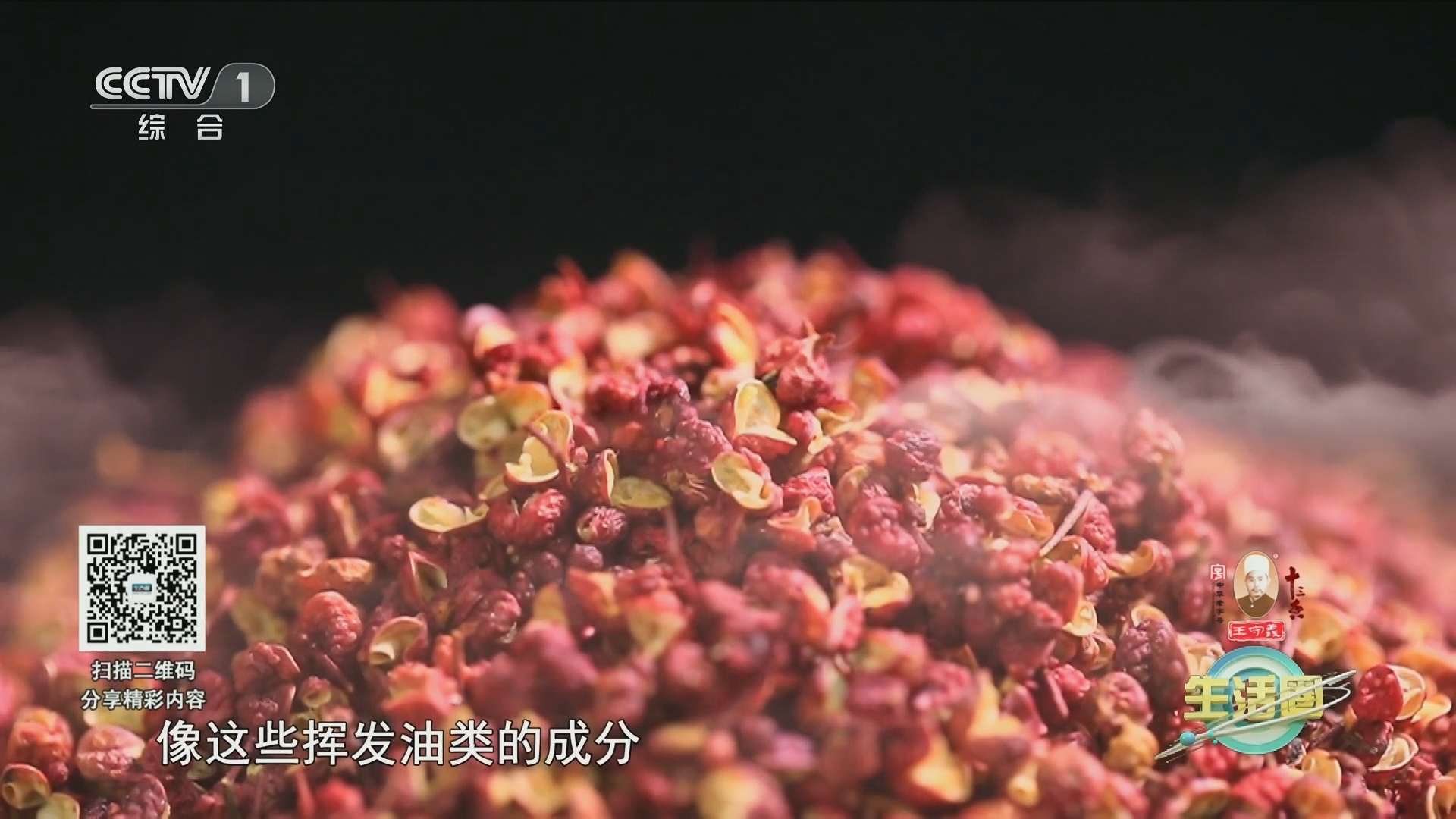 生活圈 《生活圈》 20230905