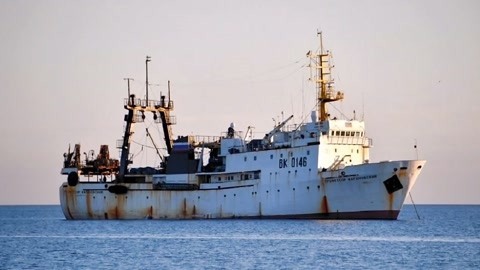 环球火力点 俄白鲸在日本海域放生