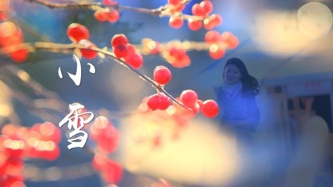 迷迭香 没有初雪的小雪！