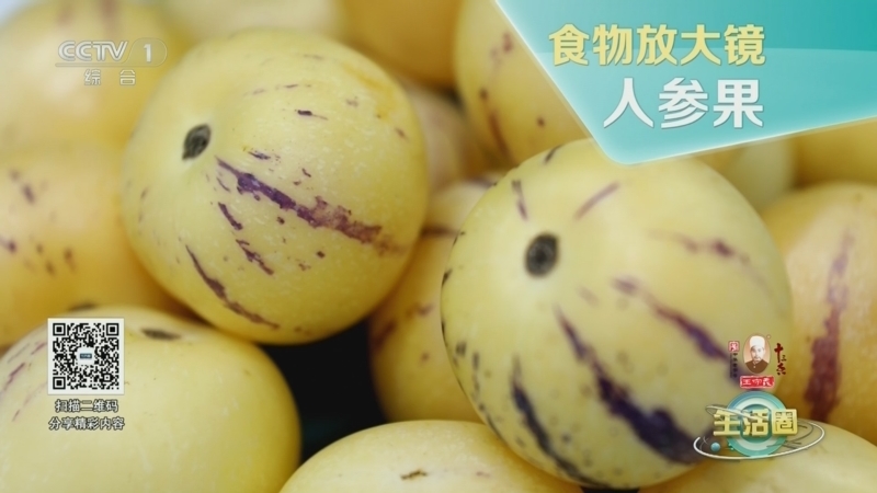 生活圈 《生活圈》 20241104