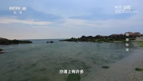 地理中国 《地理中国》 20181024 海角秘境
