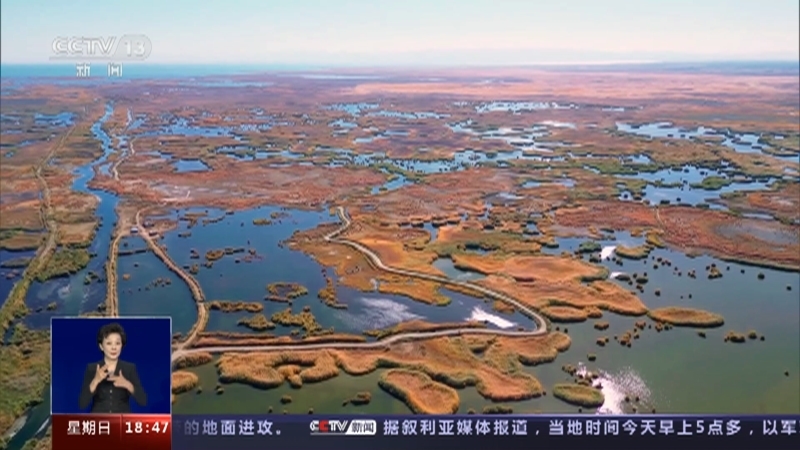 共同关注 《共同关注》 20231022