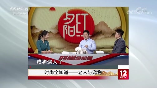 夕阳红 《夕阳红》 20200709 时尚全知道——老人与宠物