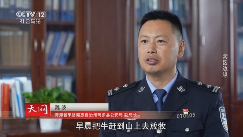 天网 《天网》 20250513 禁区边缘