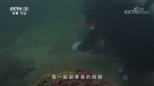 军事纪实 《军事纪实》 20190502 青春 在战位上闪光③ “水下蛟龙”炼成记