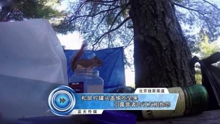 蓝天娱乐快报 2016 7月 松鼠拧罐头盖偷吃坚果 引露营者内讧互相抱怨 160731