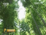 生财有道 《生财有道》 20160714 来自扶贫一线的报道（革命老区行）：走进江西上饶