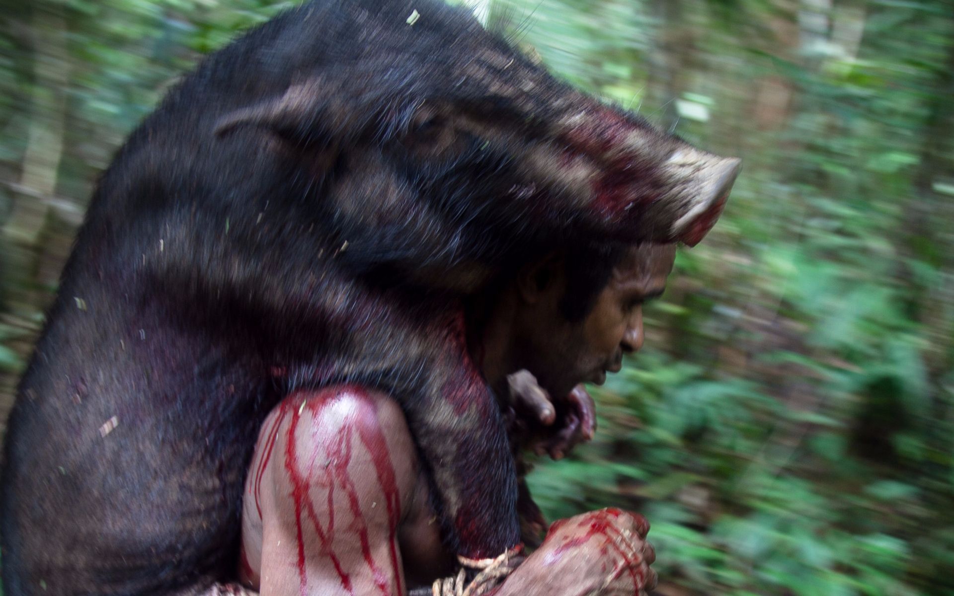 野味厨房：追杀野猪，老鼠粽子