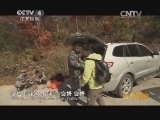 远方的家 江河万里行 第163集 鸭绿江 惟有源头活水来 20141212《远方的家》