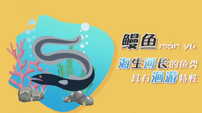 《致富经》 20210530 变换赛道 大小鳗鱼都赚钱