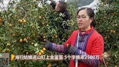 致富经 [致富经]海归姑娘进山盯上金蛋蛋 5个字换来2500万 20190225