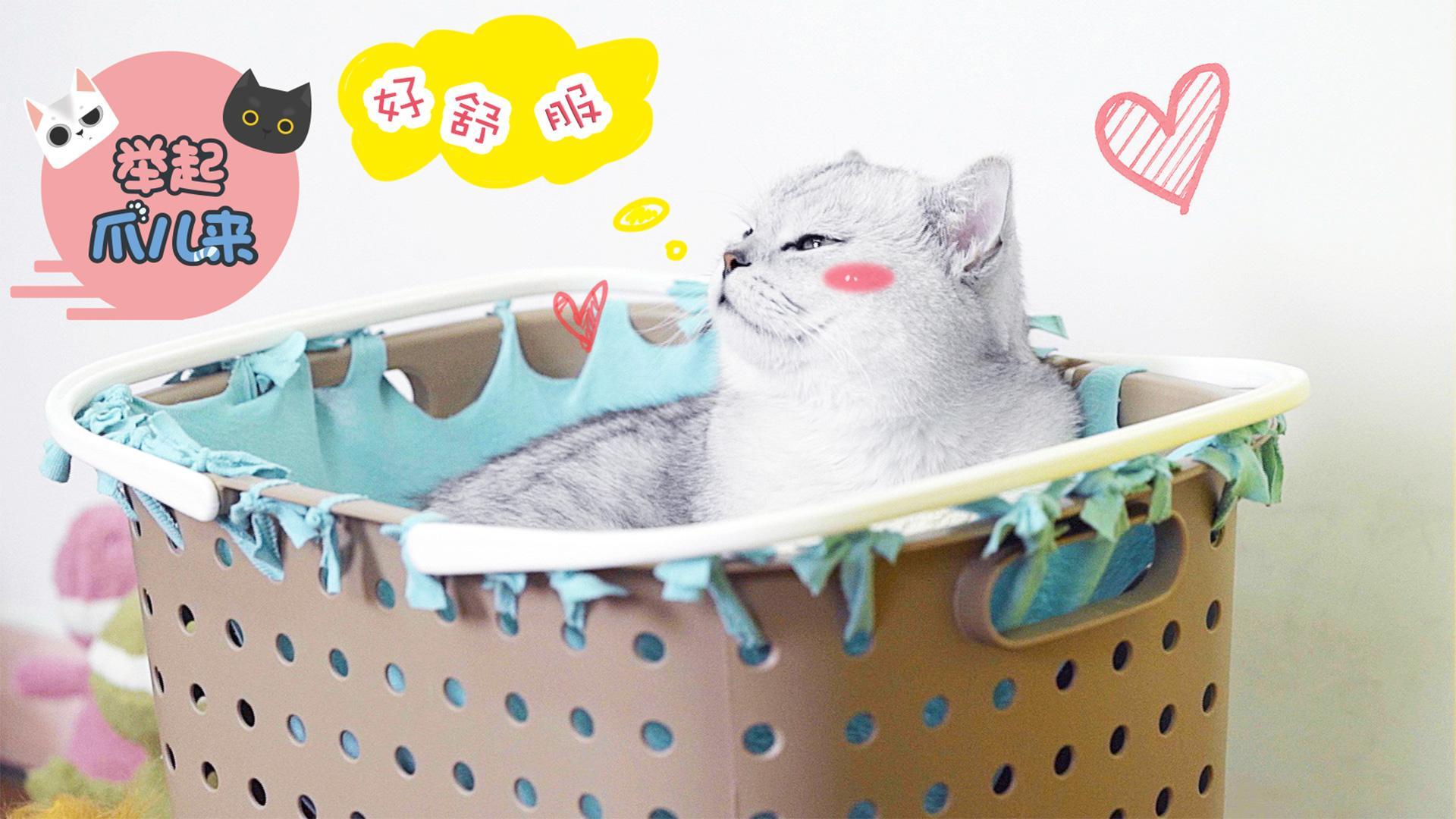 举起爪儿来 一招搞定收纳筐猫咪吊床【举起爪儿来】