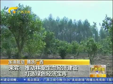 广西新闻 《广西新闻》 20141107