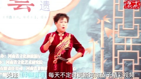 河南坠子《大明英雄传》