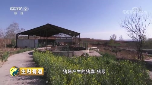 生财有道 《生财有道》 20190524 乡村振兴中国行 河南义马：产业兴旺助振兴