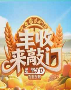 丰收来敲门2025