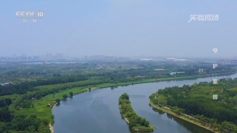 实验现场 《实验现场》 20250426 守护家园