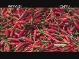 消费主张 《消费主张》 20150107 2014，味蕾的诱惑（一）