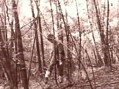 经典传奇 疯狂的怪事 野人“头发”之谜