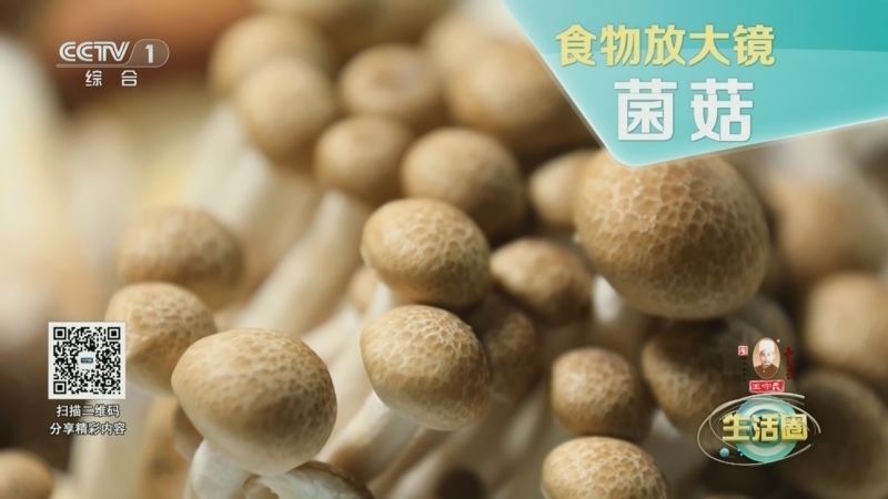 生活圈 《生活圈》 20241023