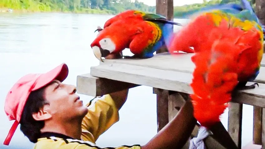 《鸟瞰地球》第6集