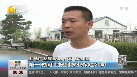 第一时间 擦浴缸被刺伤 珍稀鱼饲养门道多