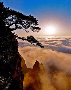 碧水丹山 海报