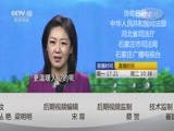 小区大事 《小区大事》 20161205 请不要干涉我们
