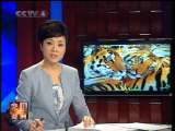 今日亚洲 今日亚洲 2010-11-22