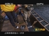 远方的家 《沿海行特别节目》 海岛风情《远方的家》 20120514