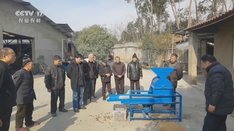 我爱发明 《我爱发明》 20220818 破壳剥栗