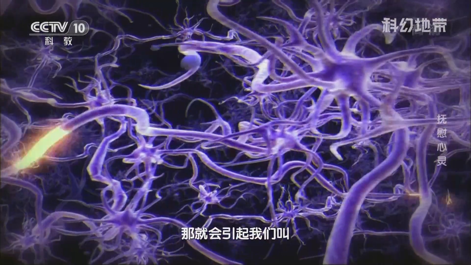 《科幻地带》 20211010 抚慰心灵