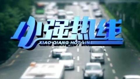 小强热线 小强热线20141121