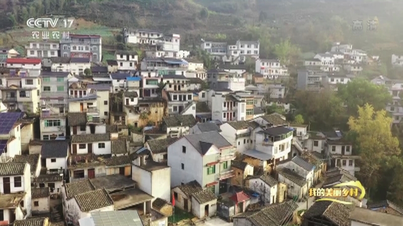 《我的美丽乡村》 20210602 旅游带动的砚雕村