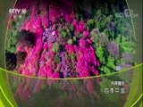 地理中国 《地理中国》 20171228 四季中国·露往霜来