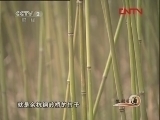 生财有道 《生财有道》 20120416 小竹笛奏出大乐章