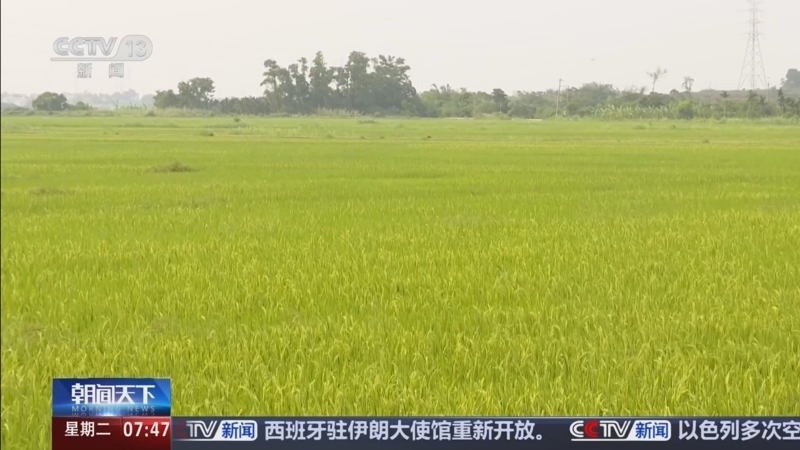 《朝闻天下》 20260414 07:00