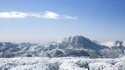 湖北新闻20210126