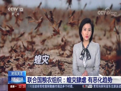 国际时讯 《国际时讯》 20200217