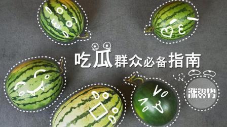 吃瓜宝典:西瓜品种大PK 差的不只是价格 167