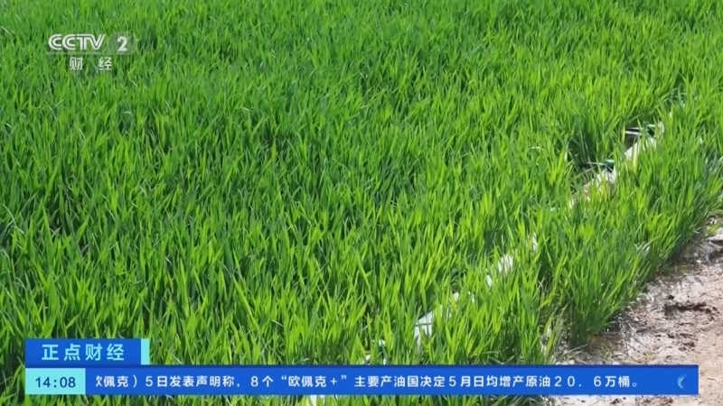 《正点财经》 20260406 14:00