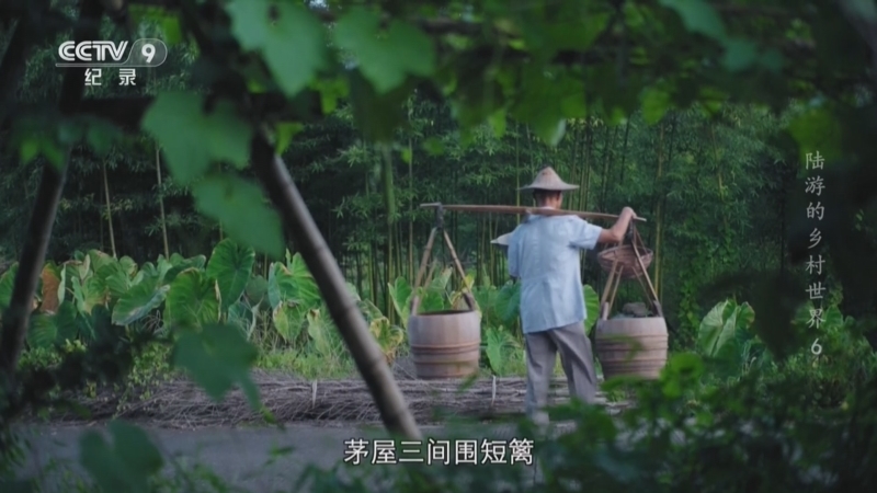 《陆游的乡村世界》 第6集 田园之梦