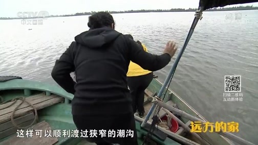 远方的家 《远方的家》 系列节目《大好河山》——秘境之踪 绿色海南 动物天堂 20190808