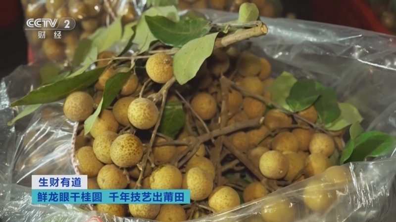 生财有道 《生财有道》 20241008 鲜龙眼干桂圆 千年技艺出莆田