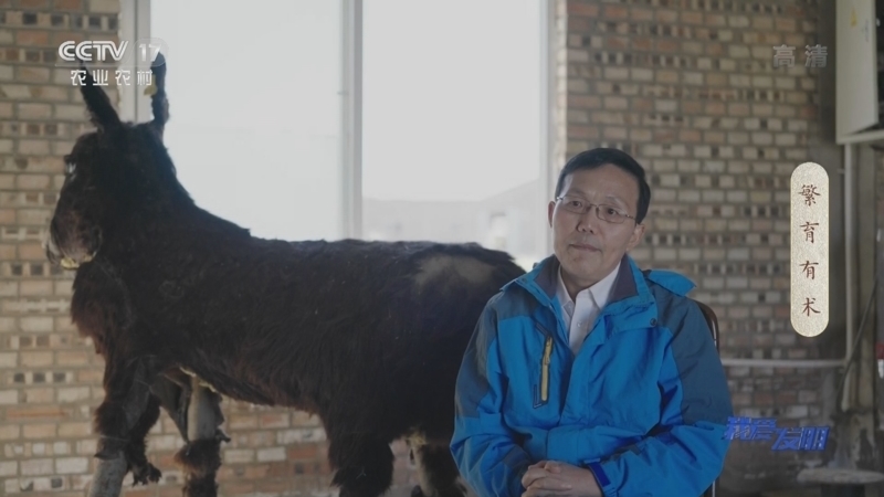 我爱发明 《我爱发明》 20221111 繁育有术