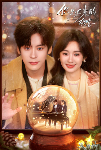 你是迟来的欢喜