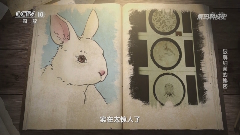 解码科技史 《解码科技史》 20221113 探索微观世界——破解细菌的秘密