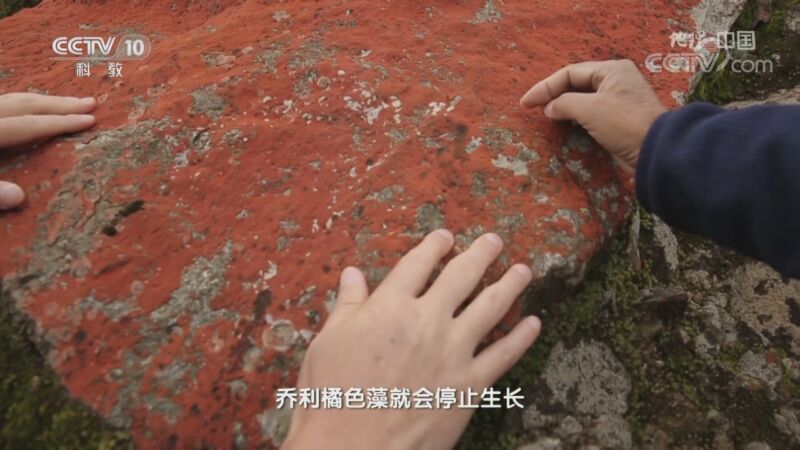 地理中国 《地理·中国》 20201025 喜德探秘 下