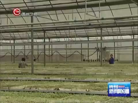 贵州新闻联播 《贵州新闻联播》 20140715